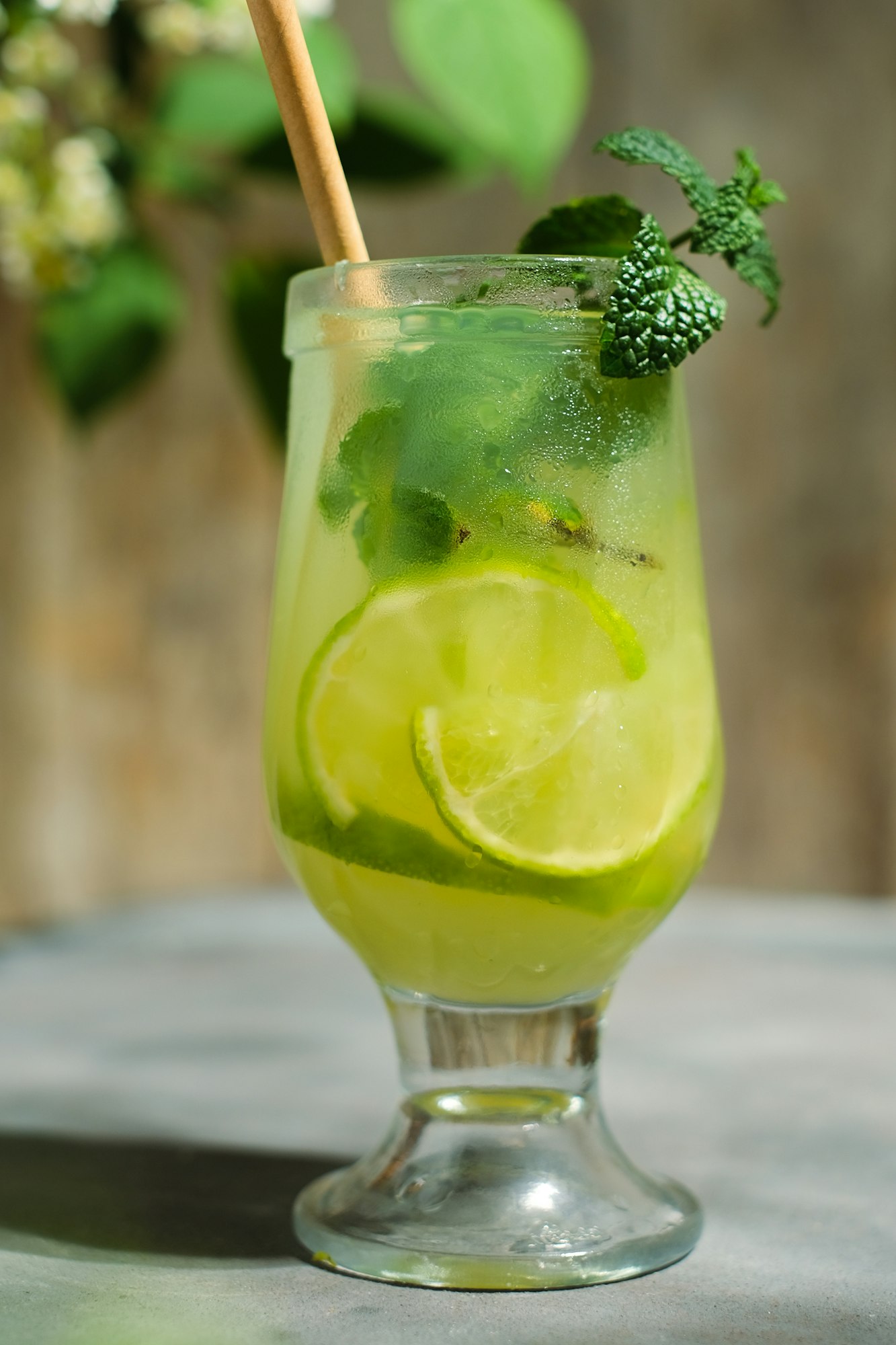 Mojito cocktail.