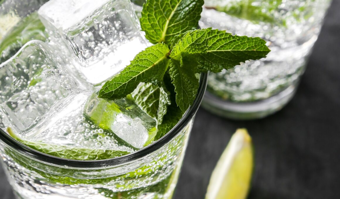Delicious mojito